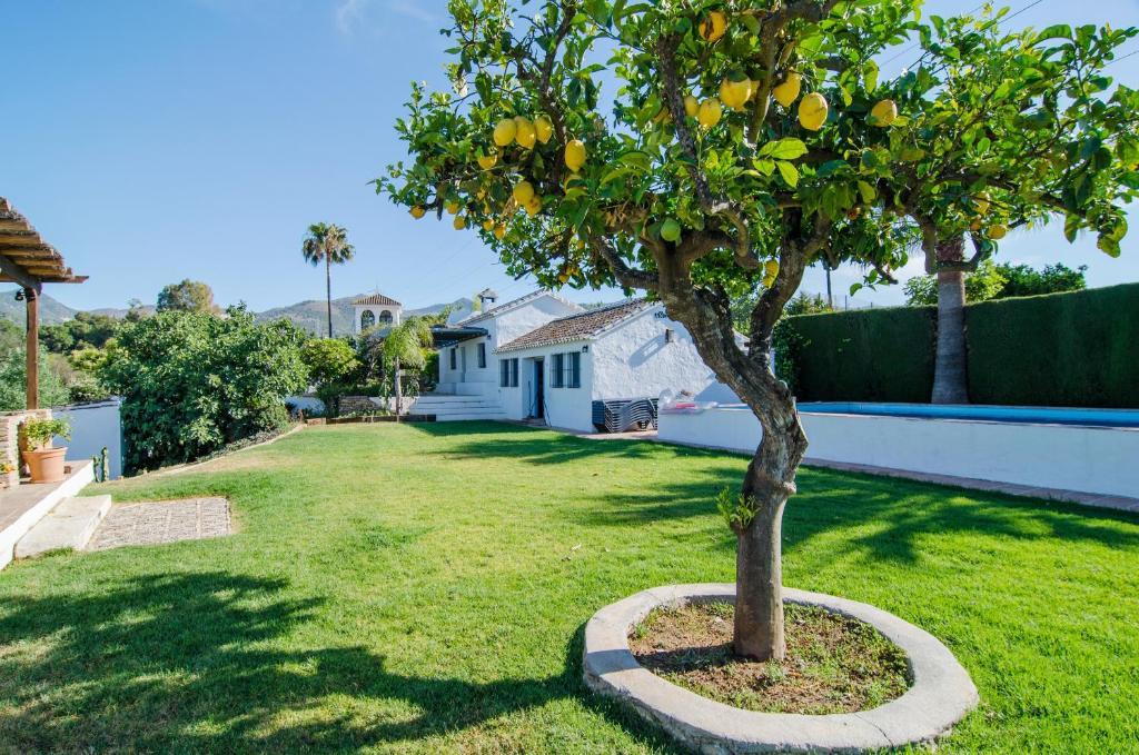 Rancho Del Ingles Bed & Breakfast Alhaurín de la Torre Екстериор снимка